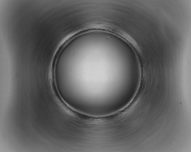 X0000115481028200911131211