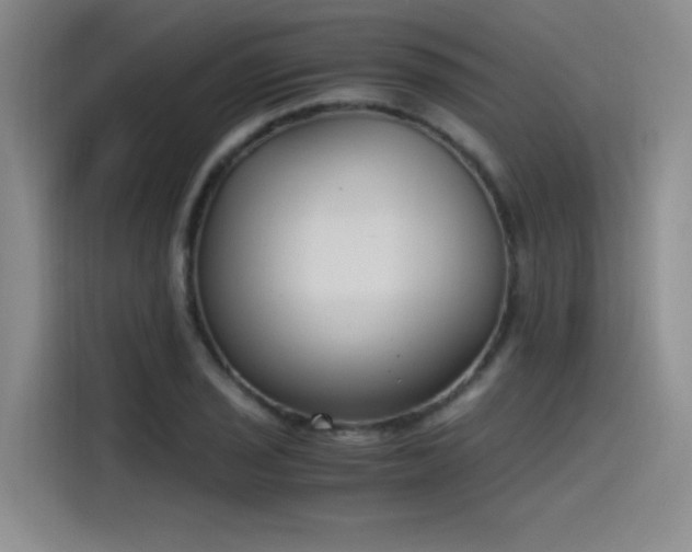 X0000115481029200911131211