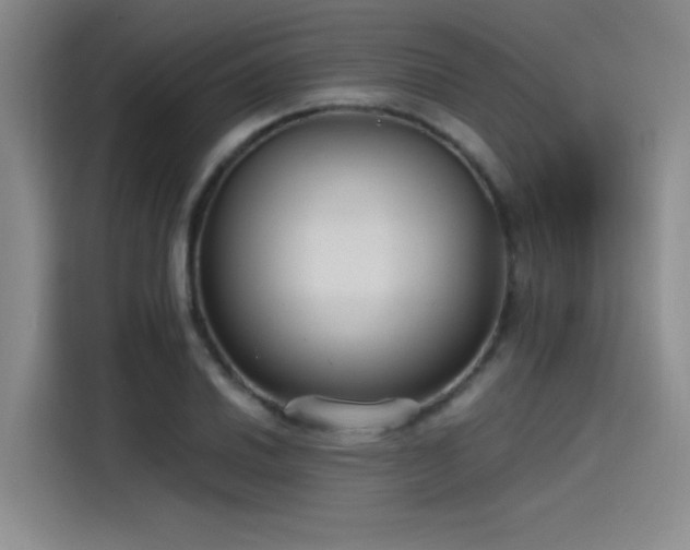 X0000115481030200911131211