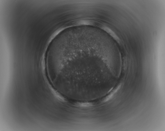 X0000115481031200911131211