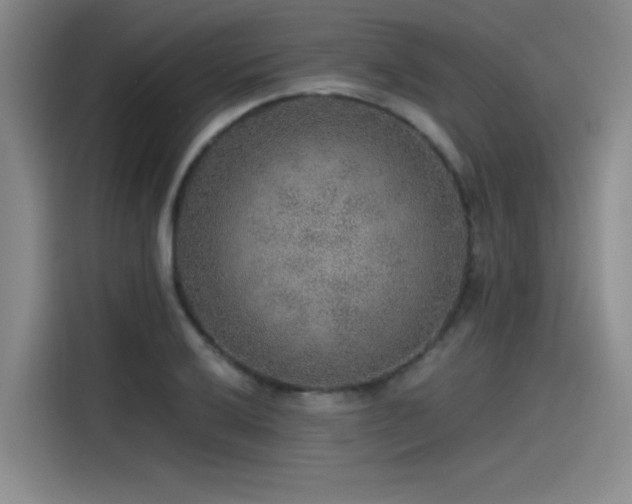 X0000115481032200911131211