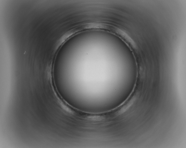 X0000115481033200911131211