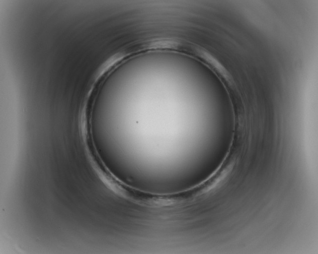 X0000115481034200911131211