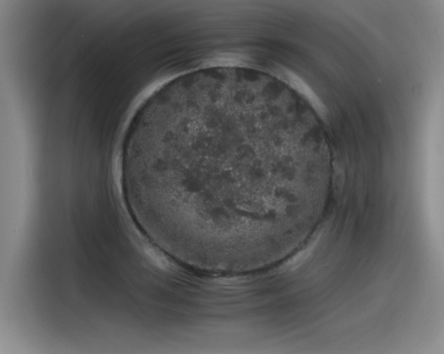 X0000115481035200911131211