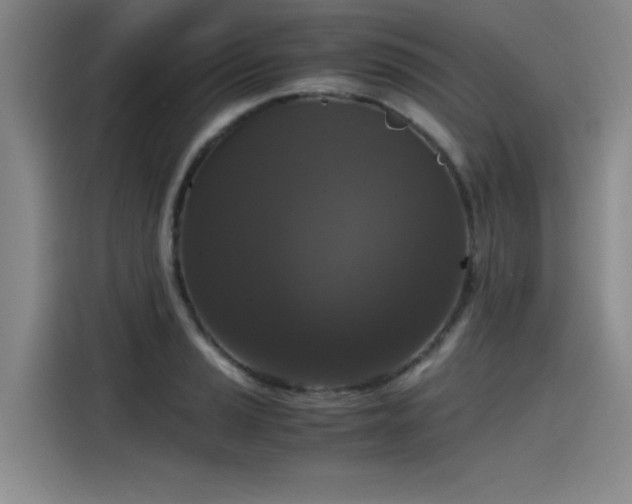 X0000115481037200911131211