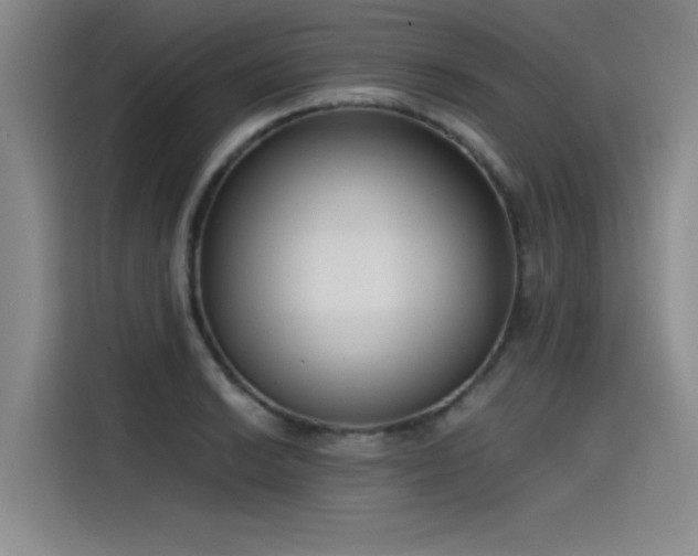 X0000115481038200911131211