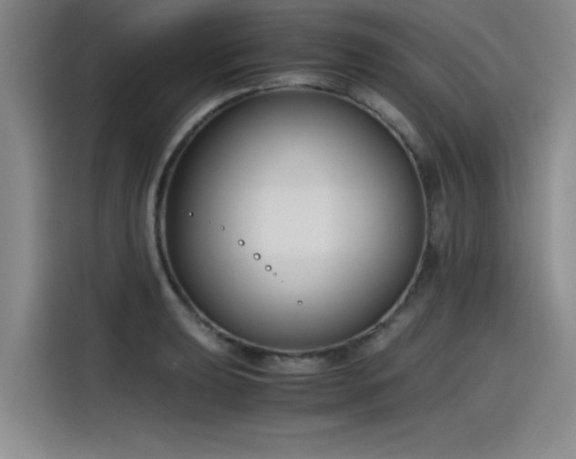 X0000115481039200911131211