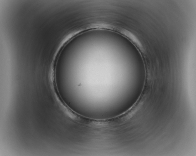 X0000115481040200911131211