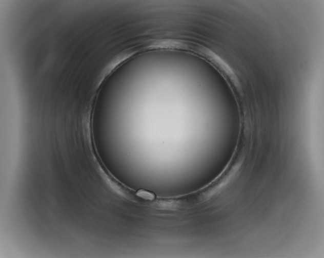 X0000115481041200911131211