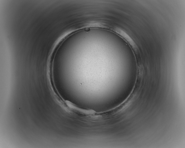 X0000115481043200911131211