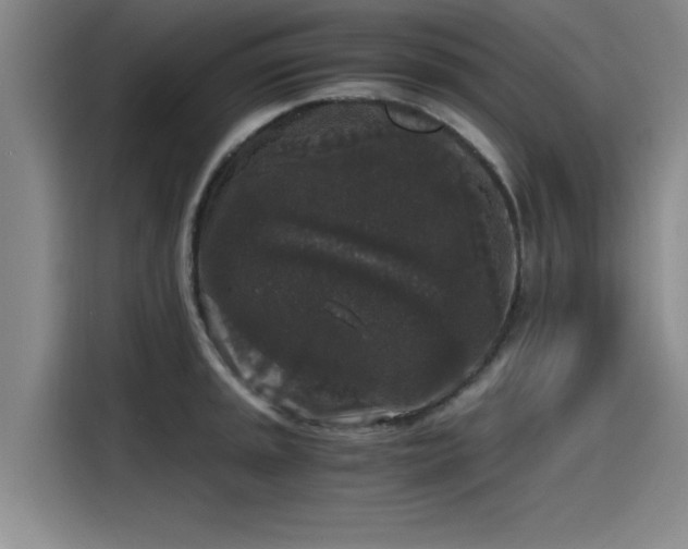 X0000115481045200911131211