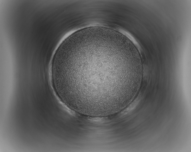 X0000115481048200911131211