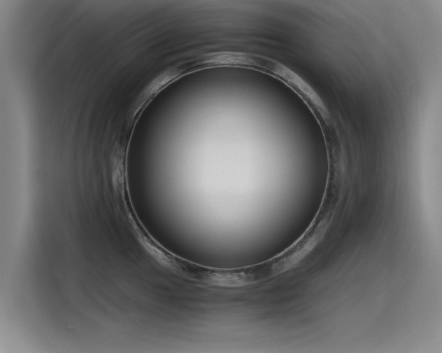 X0000115481049200911131211