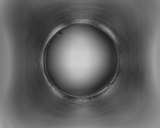 X0000115481050200911131211