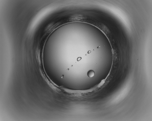 X0000115481054200911131211