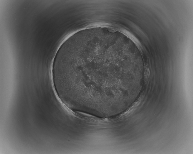 X0000115481055200911131211