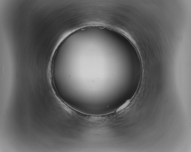 X0000115481056200911131211