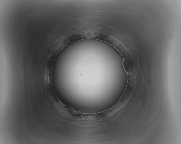 X0000115481058200911131211