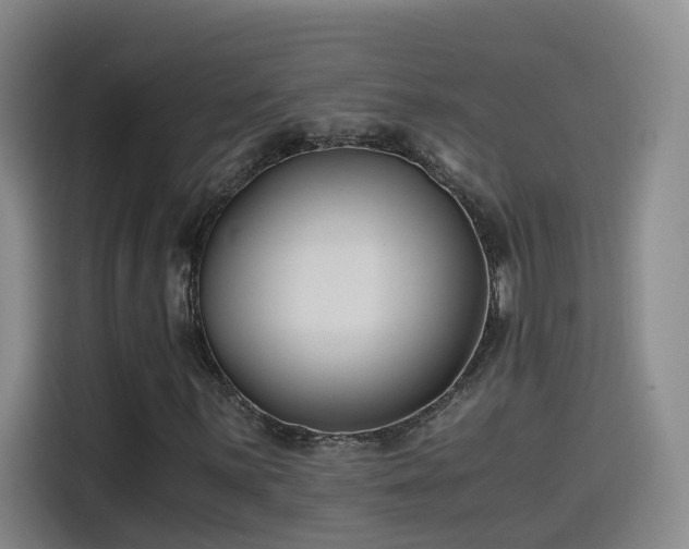 X0000115481059200911131211