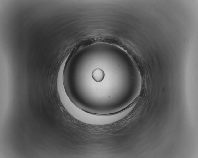 X0000115481060200911131211