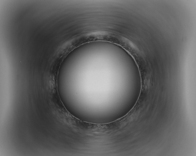 X0000115481062200911131211