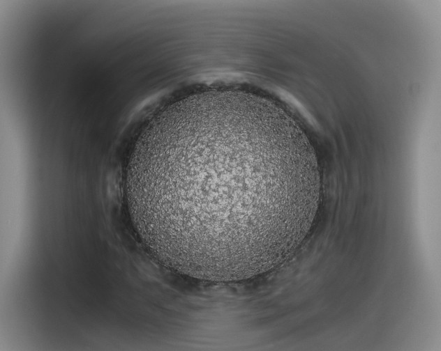 X0000115481063200911131211