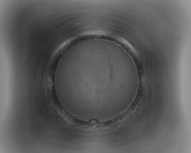 X0000115481064200911131211