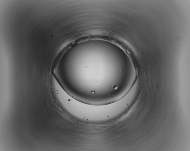 X0000115481065200911131211