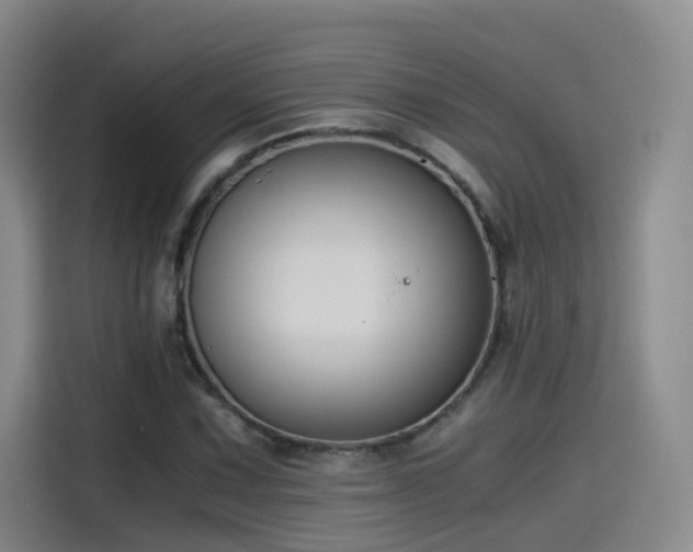 X0000115481067200911131211