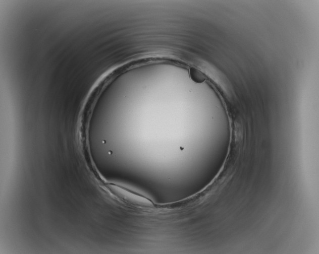 X0000115481068200911131211