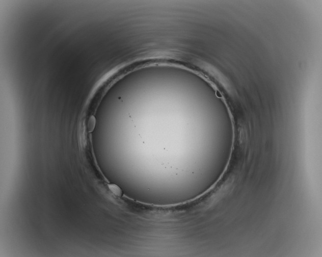 X0000115481069200911131211