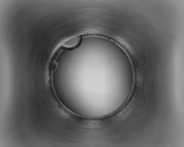 X0000115481070200911131211