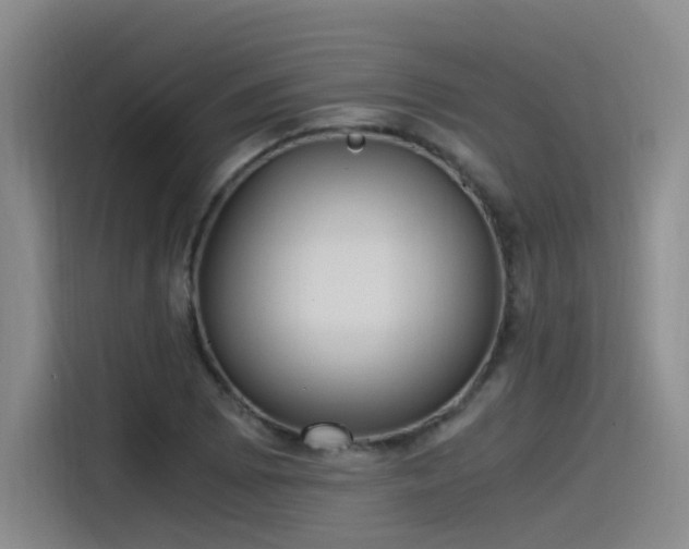 X0000115481073200911131211