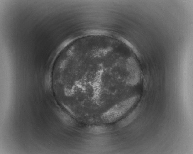 X0000115481074200911131211