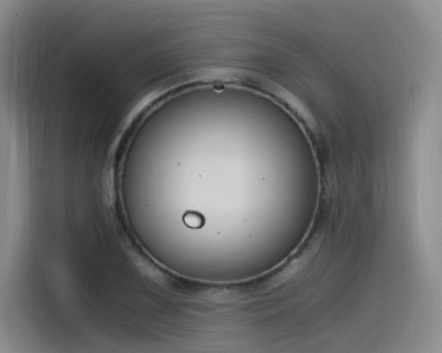 X0000115481075200911131211