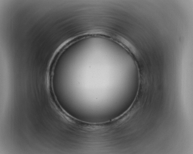 X0000115481076200911131211