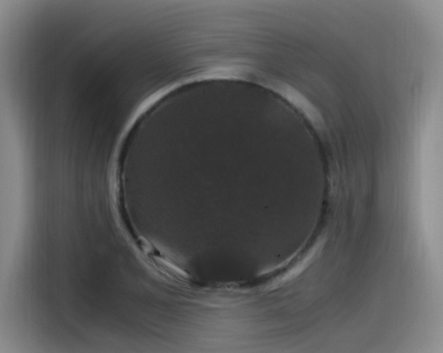 X0000115481077200911131211