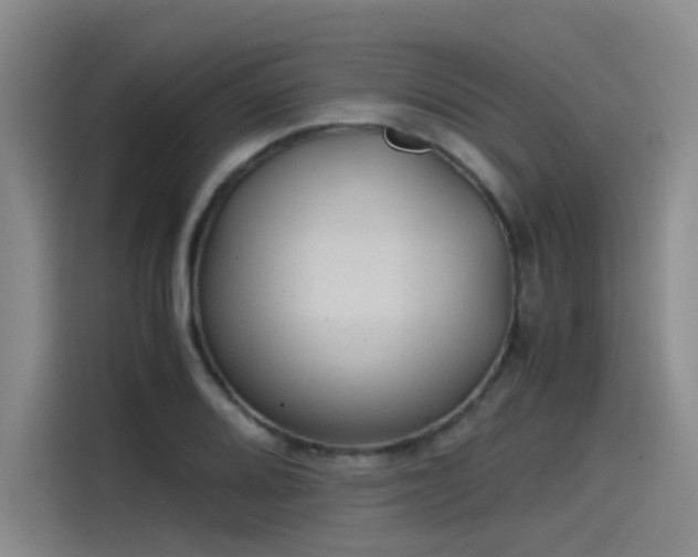 X0000115481080200911131210