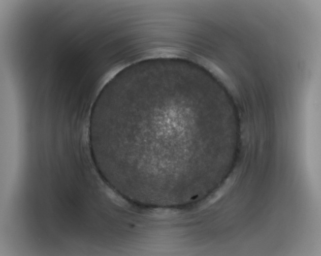 X0000115481081200911131210