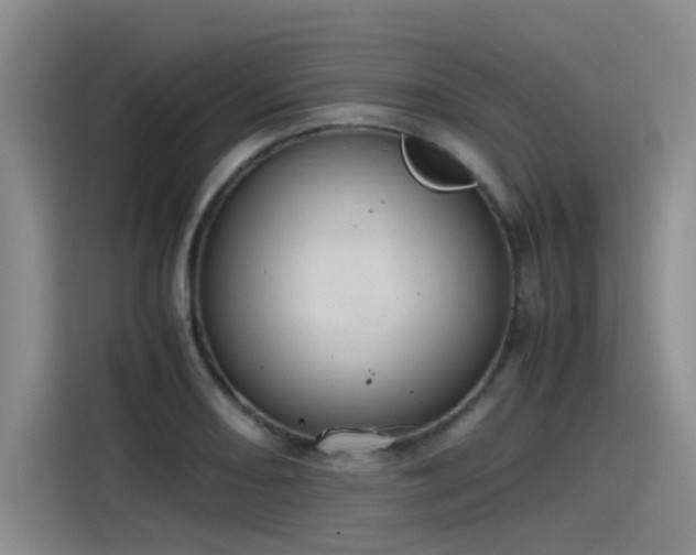 X0000115481082200911131210