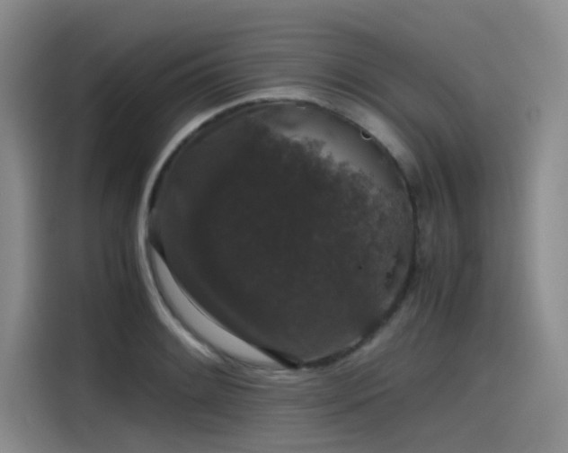 X0000115481084200911131210