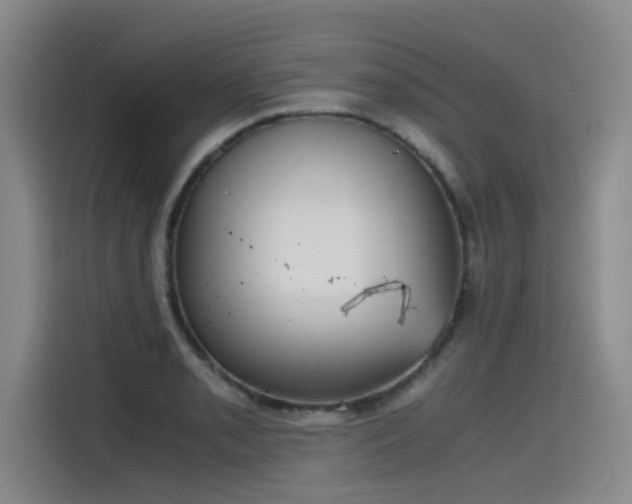 X0000115481085200911131210