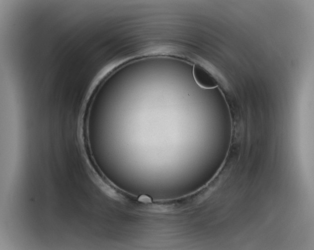 X0000115481086200911131210