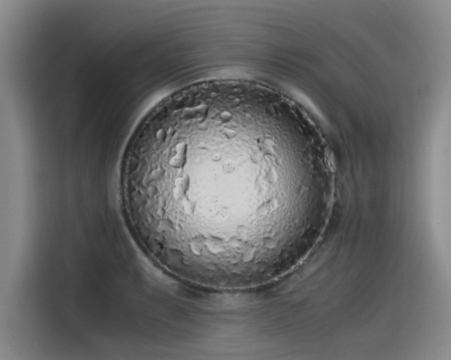 X0000115481087200911131210