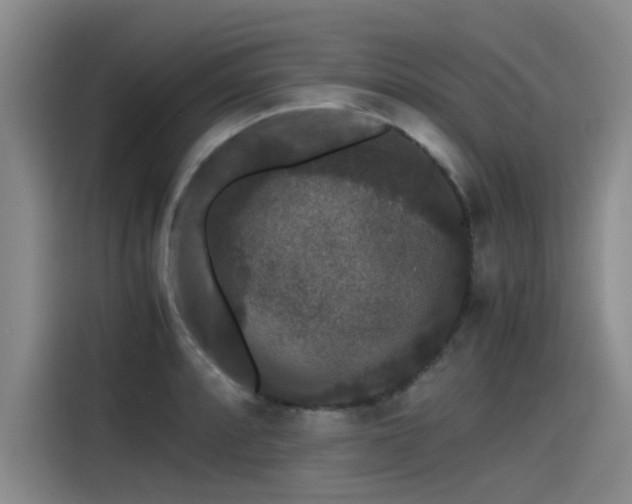 X0000115481088200911131210