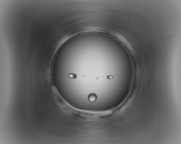 X0000115481089200911131210