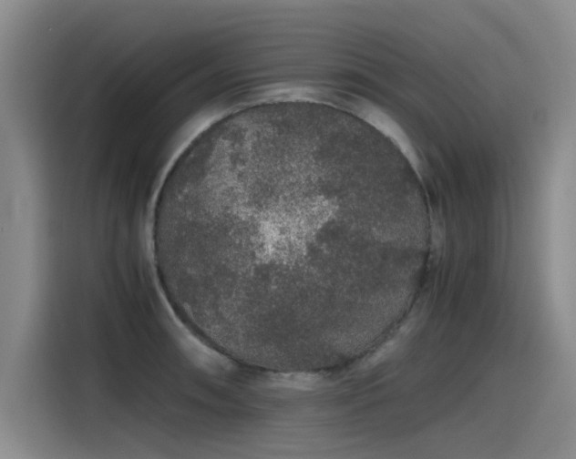 X0000115481090200911131210