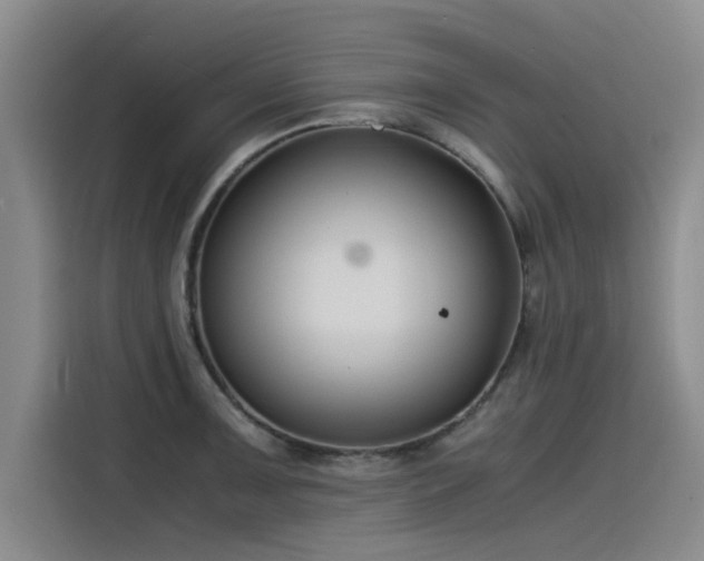 X0000115481091200911131210