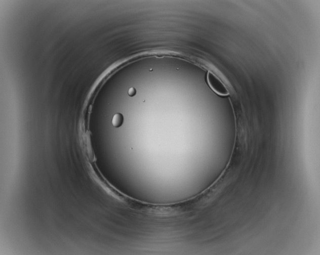 X0000115481092200911131210