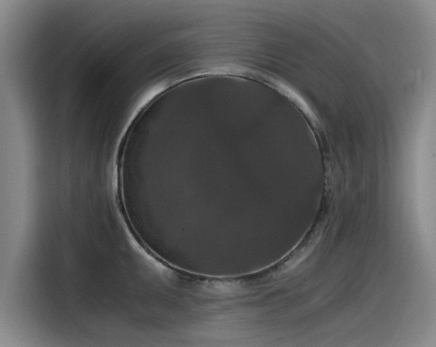 X0000115481095200911131210